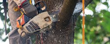 Best Aeration Services  in Guerneville, CA