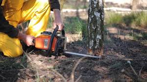 Best Lawn Watering Services  in Guerneville, CA
